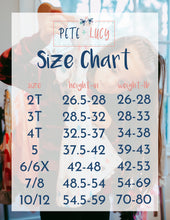 Load image into Gallery viewer, (Preorder) Winter Family Dress by Pete + Lucy
