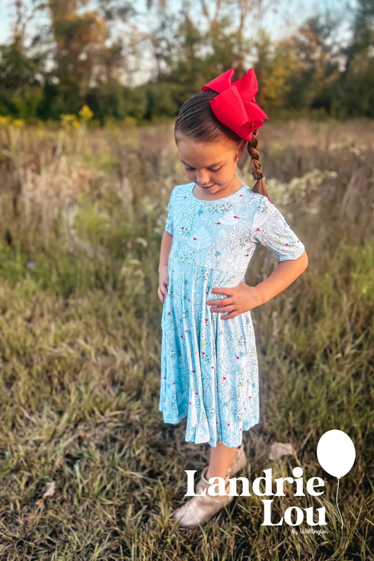 Winter Birds Twirl Dress by Landrie Lou