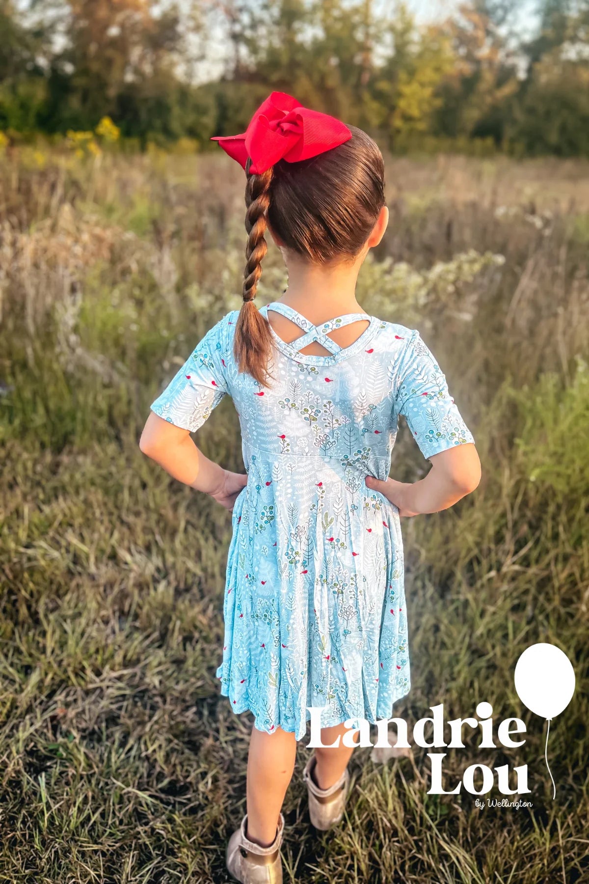 Winter Birds Twirl Dress by Landrie Lou